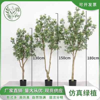 高端仿真九里香树大型落地装饰绿植盆栽室内家居摆件橱窗植物盆景