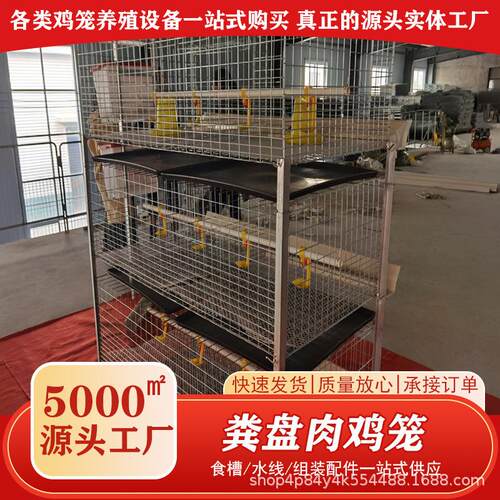 粪盘肉鸡笼镀锌防锈自动H型立式雏肉两用鸡笼农用畜牧层叠式鸡笼