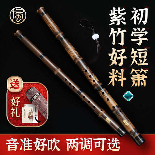 紫竹短萧初学者入门洞箫专业短竹箫便携八孔G调F高级玉短潇笛乐器