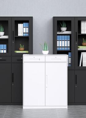 铁皮办公室文件钢制档案资料带柜财LSC-68务柜凭书证柜锁抽屉矮柜