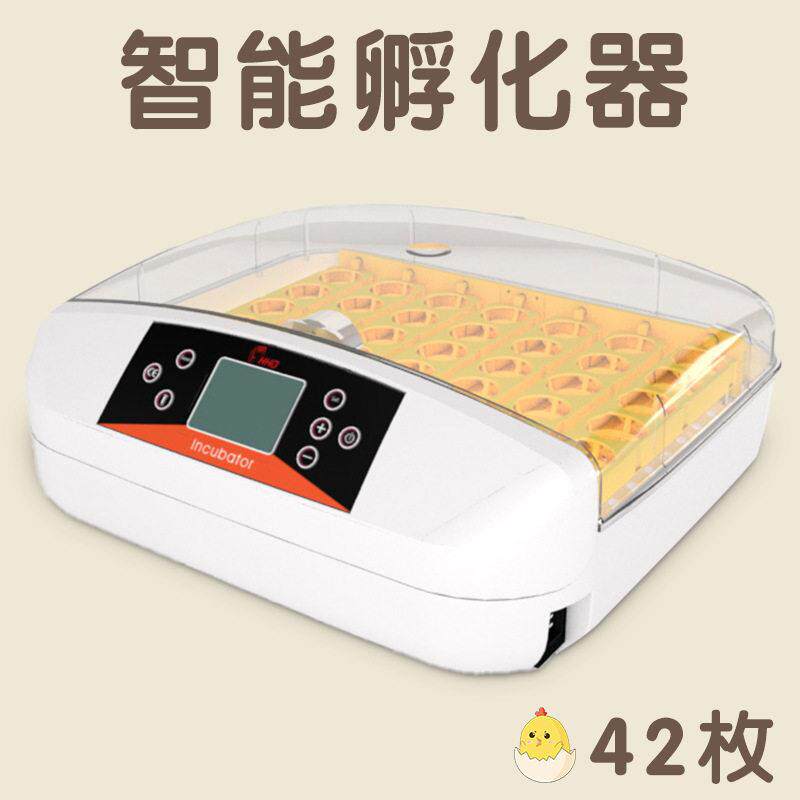 HHD鸡蛋孵化器设备孵化机家禽养殖42枚鸽子孵蛋器孵化箱智能温控