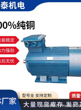 三相异步电动机YE3-250M-2-37W水泵清洗机配套矿山三相电机机械