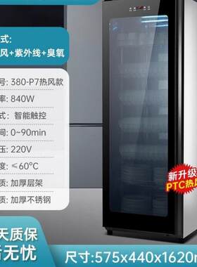 纳柏顿商用消毒柜立式茶杯茶具小型餐厅热风烘干杯子消毒碗柜家用