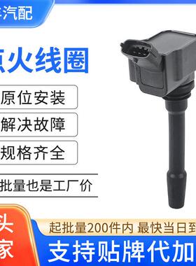 汽车点火线圈压包点火器3603040C45L 3603040C13L适用于红旗HS5