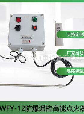 BBWFY-12WFY-12防爆高效点火装置 工业锅炉燃能烧高器能火器 远程