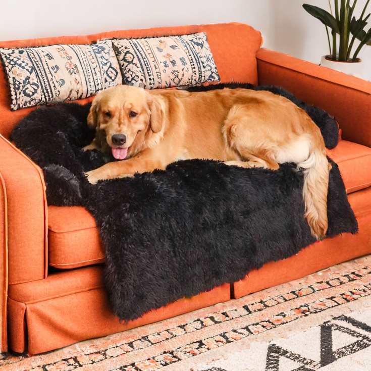 sofa狗窝沙发宠物宠物bed可垫子猫dog宠物长毛绒 窝冬季 窝拆洗窝