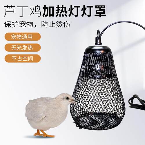 宠物加热保暖灯鹦鹉陆龟爬虫陶瓷灯猫咪狗狗小鸟笼防烫灯罩可调温