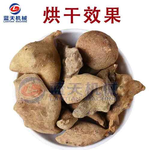 天小子型五倍子烘干机全自蓝动百虫仓木附子能棓烘干设备智LT-WBZ