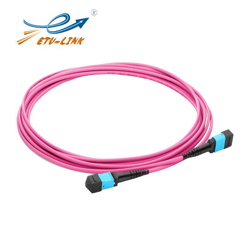 ETU-LINK光纤跳线16芯MPO-MPO母头万兆多模OM4极性BLSZH，1m