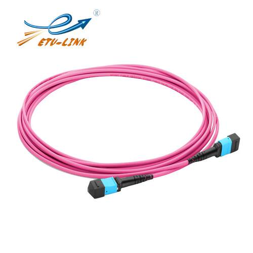ETU-LINK光纤跳线16芯MPO-MPO母头万兆多模OM4极性BLSZH，1m