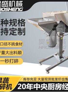 现货干鲜辣椒打碎机器全自动生姜打泥机连续式蒜蓉加工设备
