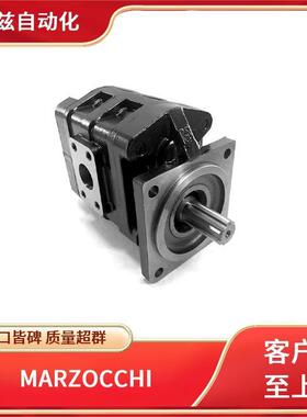 MARZOCCHI意大利马祖奇齿轮泵GHP3A-D-40-FGMARZOCCHI油泵
