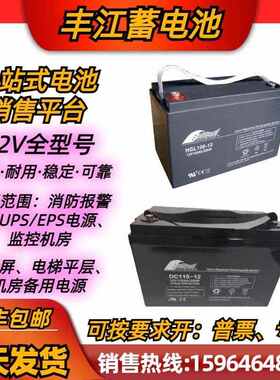 丰江蓄电池DC115-12/HGL/12V4A7A10A12A18A24A38A40A55A65AH100AH