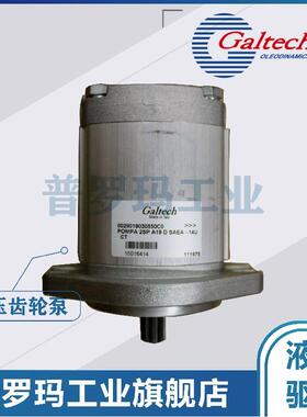 意大利GALTECH齿轮泵3GP-G-370-SAEB-OR 1SM 2SM 3GM 液压油泵