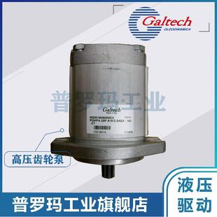 意大利Galtech 高泰克油泵 1SP EUR 齿轮泵 020