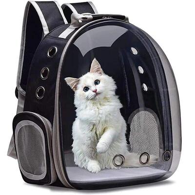 Cat Pet Carrier Backpack Transparent Capsule Bubble Pet Back