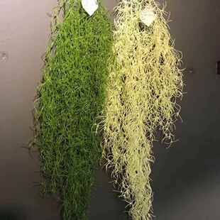 白须草藤条 家居酒吧壁挂装饰植物墙 假花塑料垂柳海带龙须草藤蔓