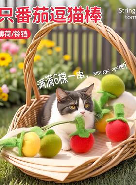 Cat toy, catnip little persimmon, interactive cat toy, fun s