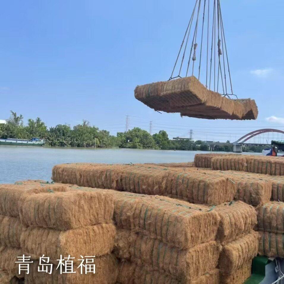 植福椰丝宠物用窝垫料花盆填充椰棕丝铺面天然椰棕丝纤维鸟窝