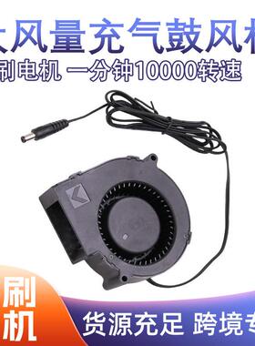 9733 12V 2.94A充气玩偶烧烤炉具双滚珠大风量风扇离心涡轮鼓风机