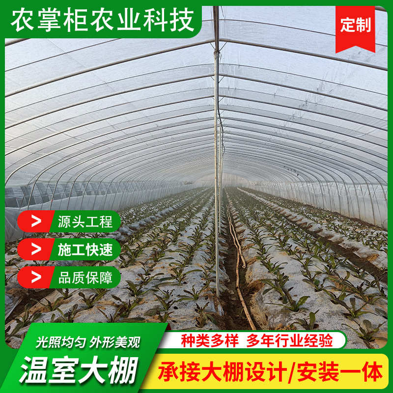 农业种植草莓蔬菜大棚  红美人农业温室大棚建设 蔬菜温室大棚