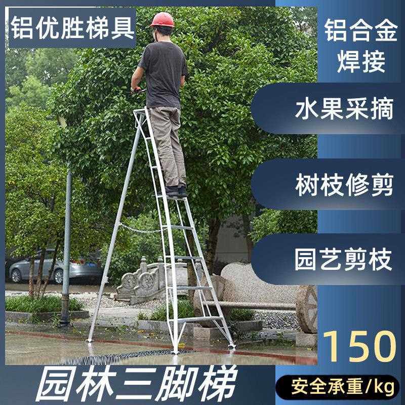 园艺修剪三脚梯 铝合金采果梯 荔枝采摘人字梯 园林专用轻便可携