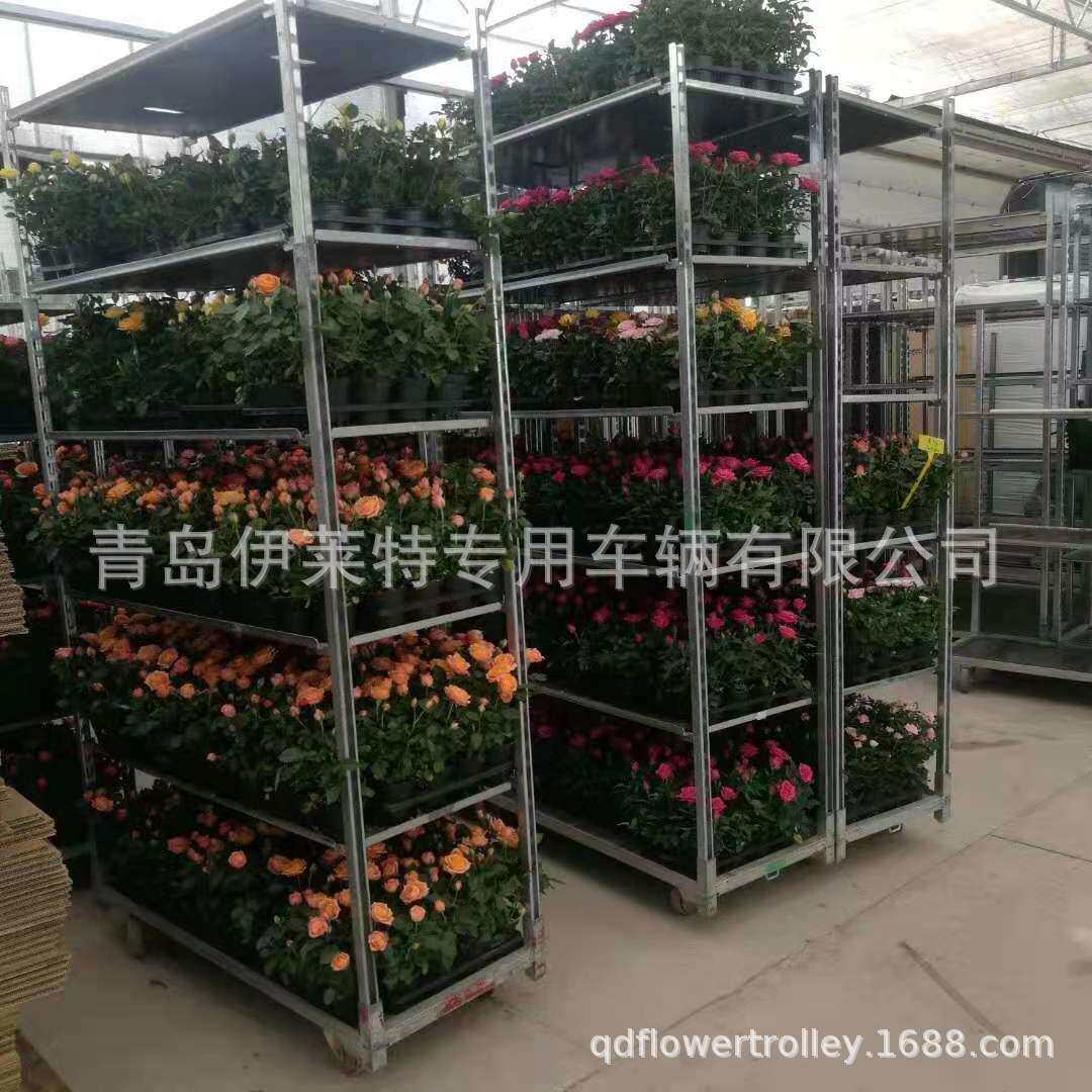 直销农场有机蔬菜种植架子,不生锈可拆卸花卉台车,育苗车