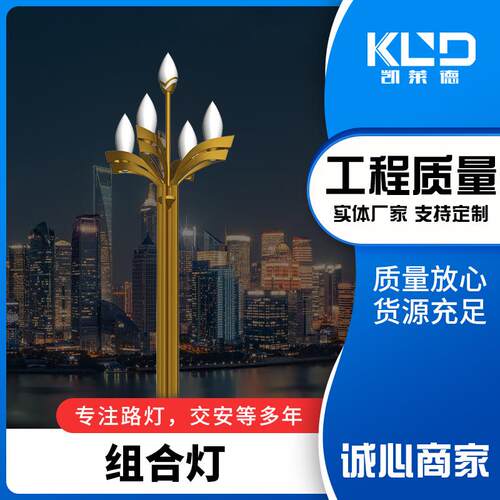 厂家直供中华灯玉兰灯市政道路街道广场亮化景观照明组合灯