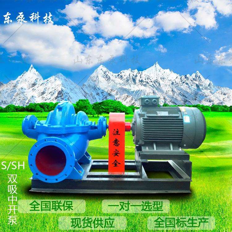 山东东泵 卧式离心式中开泵 喷灌农田灌溉 防洪排涝 中开泵