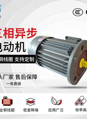 满功率三相异步电动机 YE4-112M-4极国标电机 4KW 380V纯铜马达