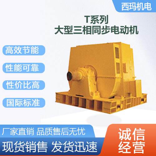 西安西玛电机T2500-8/1702500KW10KV压交流三相同步电动机厂