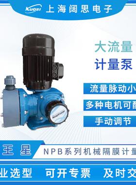 Neptune机械隔膜计量泵NPB系列大流量加药泵耐酸碱流量泵