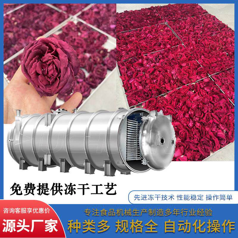平阴玫瑰花茶真空冻干机60平方墨红玫瑰重瓣玫瑰冻干设备高效节能