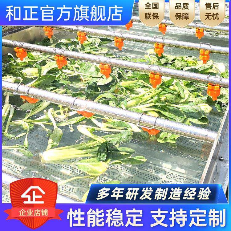 豆角清洗机 果蔬清洗机 多功能喷淋清洗机 毛辊清洗机 净菜清洗机