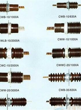 管CWWL-20/3150CWWL-10250-CWWL-20/4/-G瓷直穿墙套厂家供