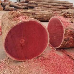 阿木莫栋原 DXO阿摩木栋木材 户外地板装饰 园古林建工程 红柳桉