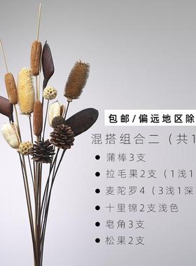 正品客厅落天然兰干 干燥树枝干玉 干花燥花束干支干 干树枝树装