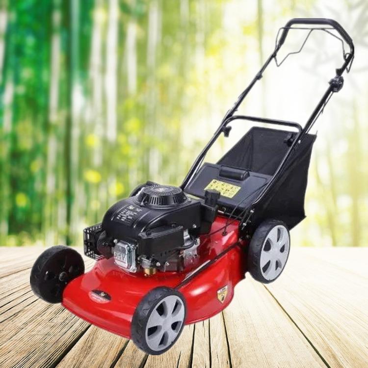 低油耗推车式割草机 园林草坪修剪机 自走式农场杂草修理剪草机