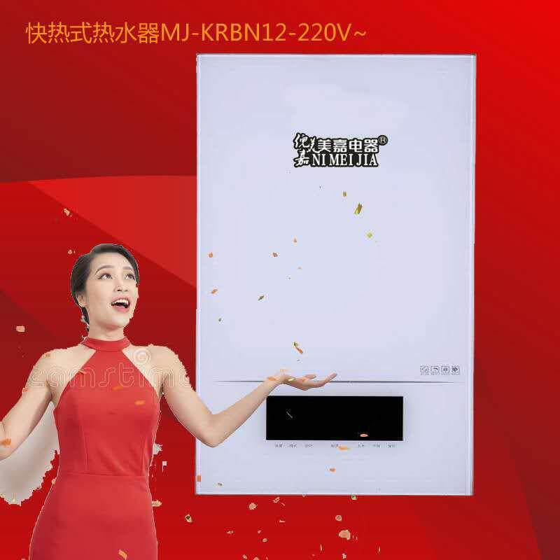 厂家供应家用供暖洗浴供暖两用电壁挂炉智能变频电采暖锅炉节能