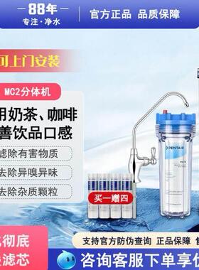 爱惠浦净水器MC2 商用净水器奶茶店家用净水机直饮水机大流量900P