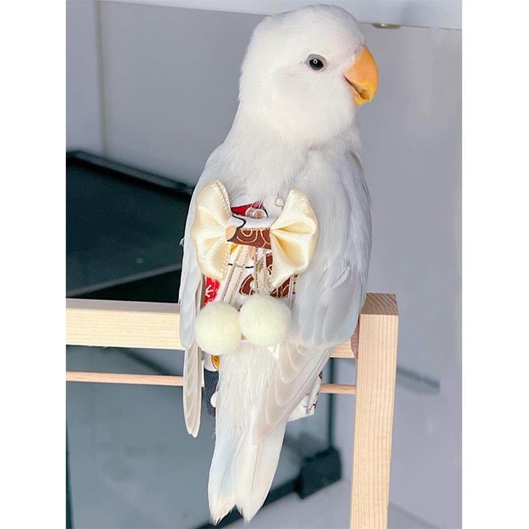 鹦鹉屎兜鸟尿不湿衣服虎皮牡丹玄凤烫金款纸尿裤不湿屁股兜飞行服,宠物/宠物食品及用品,生理裤,淘宝优惠券,粉丝福利购,淘宝优惠卷