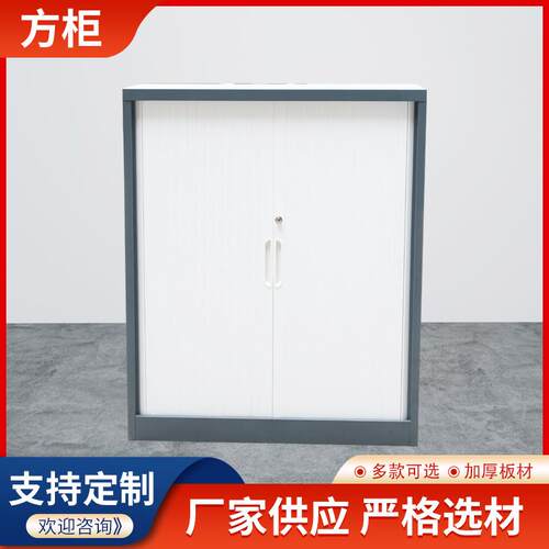 家用书柜文件柜铁皮柜文件档案柜铁皮文件柜钢制文件柜厂
