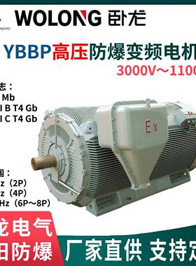 YBBP变频高压电机6V/10V防爆ExdⅠMb/ⅡB/ⅡC安装B3B35南阳