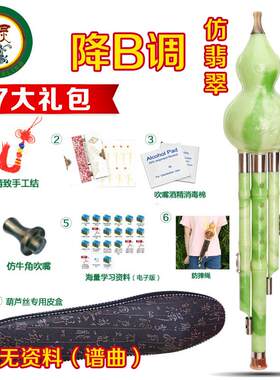 正品胶木初 葫丝芦丝直c调 降b调孔雀学灵乐器 云南葫芦 厂家销