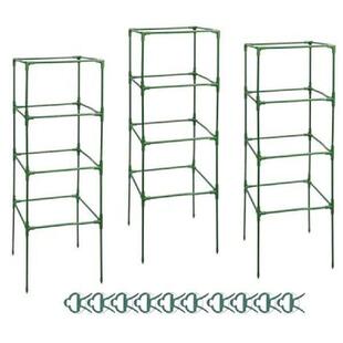 Plants Garden Support Climbing Spaces Beds Outdoor