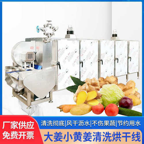 大姜小黄姜清洗烘干线流水线  网带式输送辣椒土豆果蔬隧道烘干机