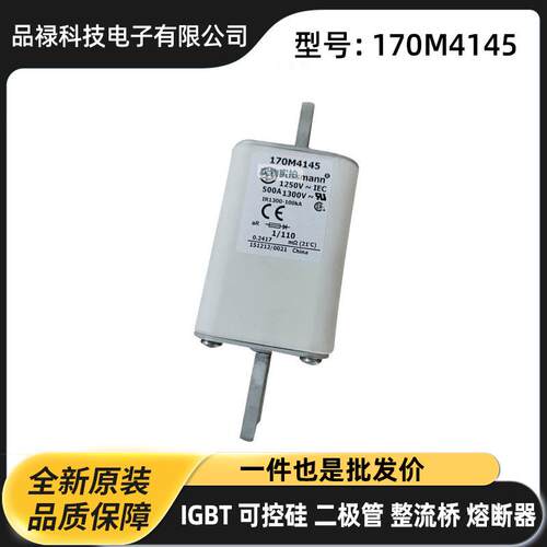 170M3808D 170M3809D 170M3810D 170M3811D原厂快速熔断器 保险丝