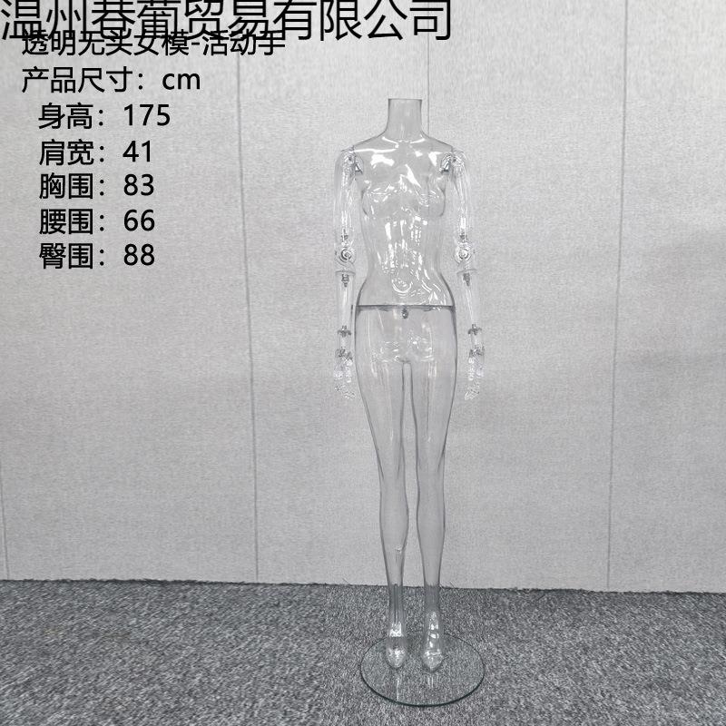 透明模特道具女全身假人台模型手臂可动调关节服装拍摄透明女模特