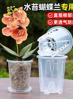 透明青山控根盆兰花水苔蝴蝶兰专用花盆塑料透气镂空大号花盆家用