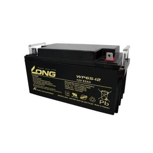 LONG广隆蓄电池 WP65-12 12V65AH太阳能发电机房照明监控设备专用